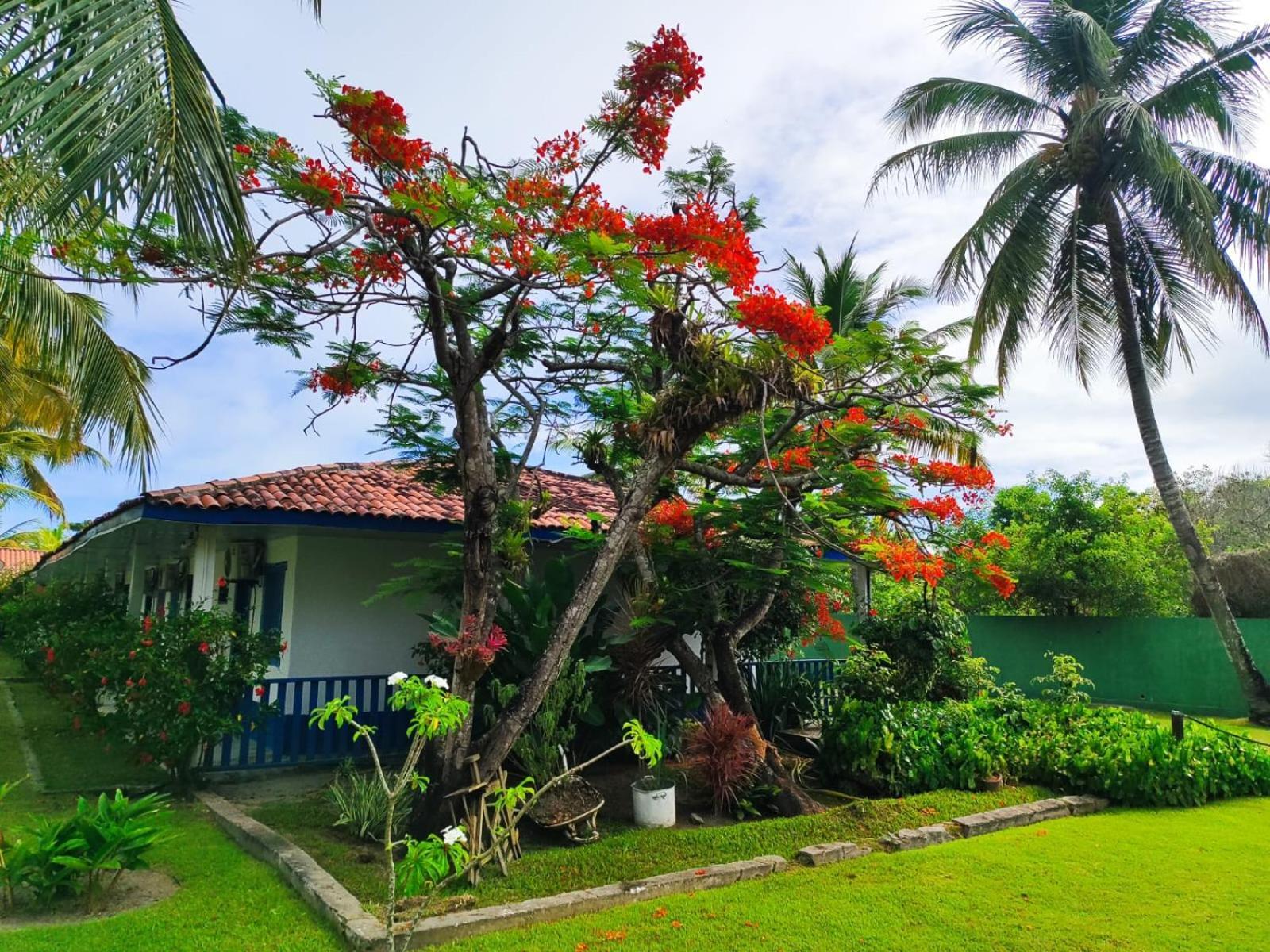 Morada Dos Coqueiros Hotel